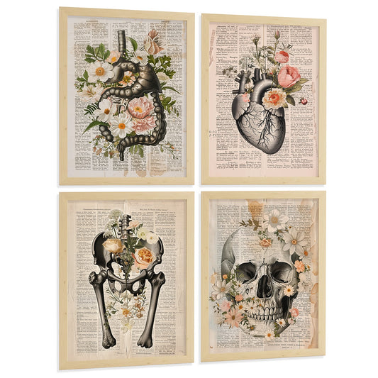 Set 4 Cuadros de Anatomía Humana Láminas Botánicas Vintage con Órganos Corazón Sistema Digestivo Cráneo y Pelvis Decoración Hogar