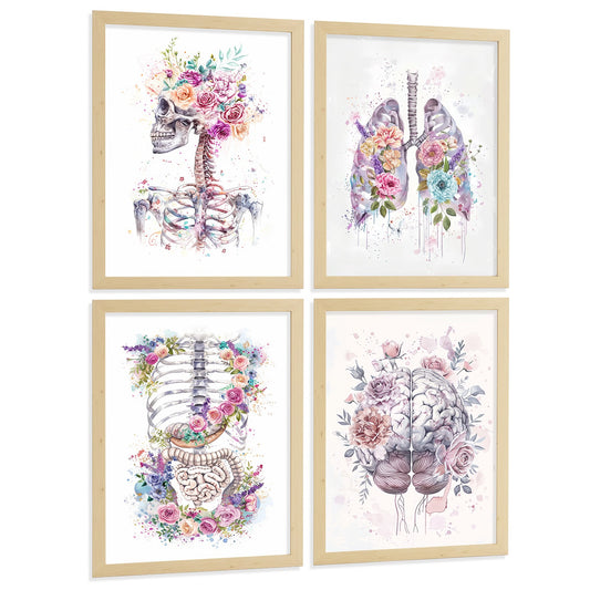 Set 4 Láminas de Anatomía Humana Posters y Cuadros con Calavera, Pulmones, Sistema Digestivo y Cerebro Estilo Acuarela Floral