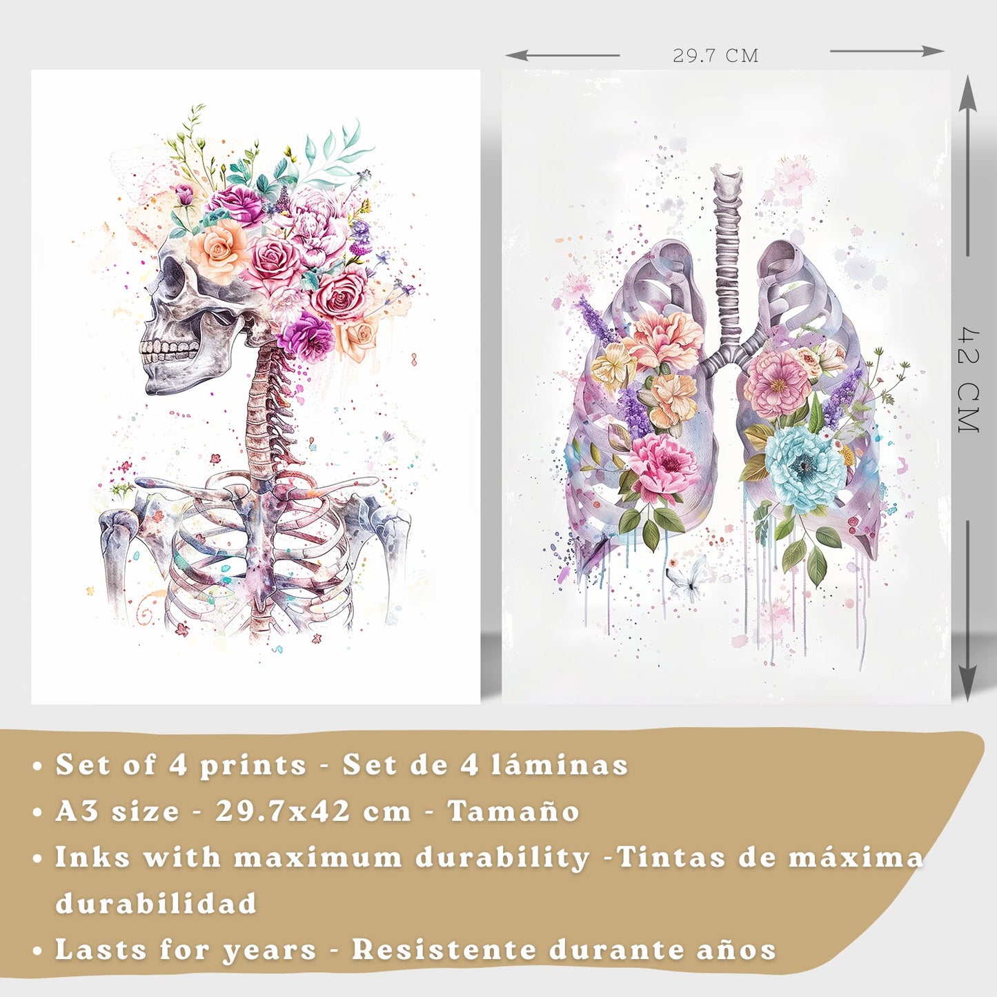 Set 4 Láminas de Anatomía Humana Posters y Cuadros con Calavera, Pulmones, Sistema Digestivo y Cerebro Estilo Acuarela Floral