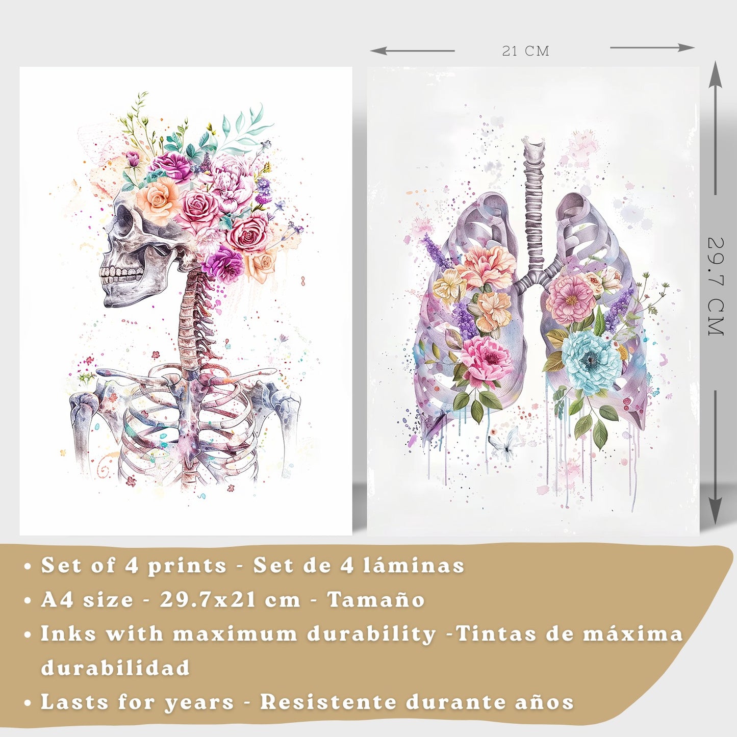 Set 4 Láminas de Anatomía Humana Posters y Cuadros con Calavera, Pulmones, Sistema Digestivo y Cerebro Estilo Acuarela Floral