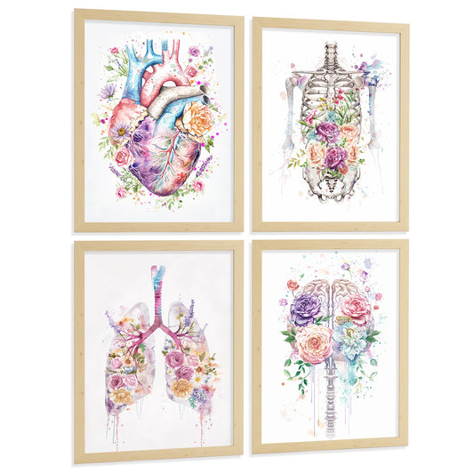 Set 4 Cuadros Decorativos de Anatomía Humana Láminas y Posters con Corazón Cerebro Pulmones Tráquea Bronquios Columna Vertebral Diseño Floral Acuarela