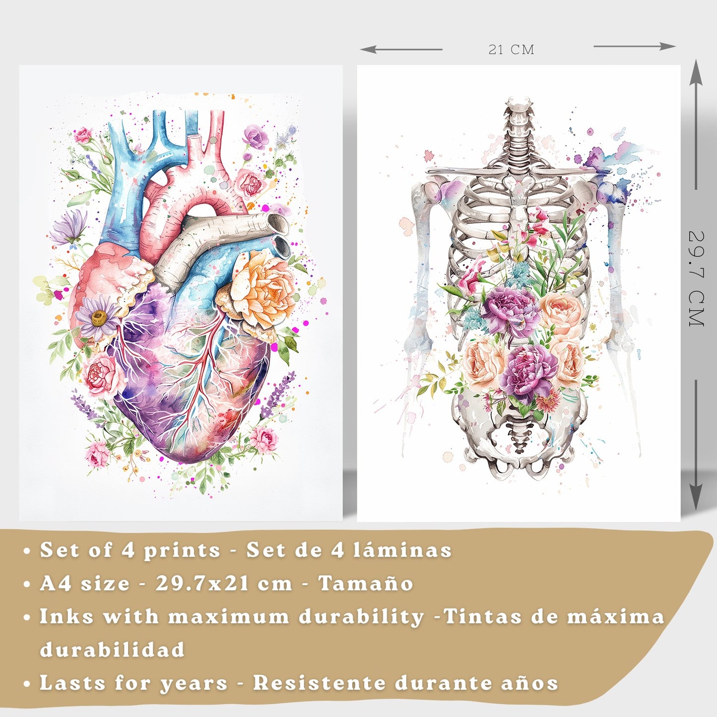 Set 4 Cuadros Decorativos de Anatomía Humana Láminas y Posters con Corazón Cerebro Pulmones Tráquea Bronquios Columna Vertebral Diseño Floral Acuarela