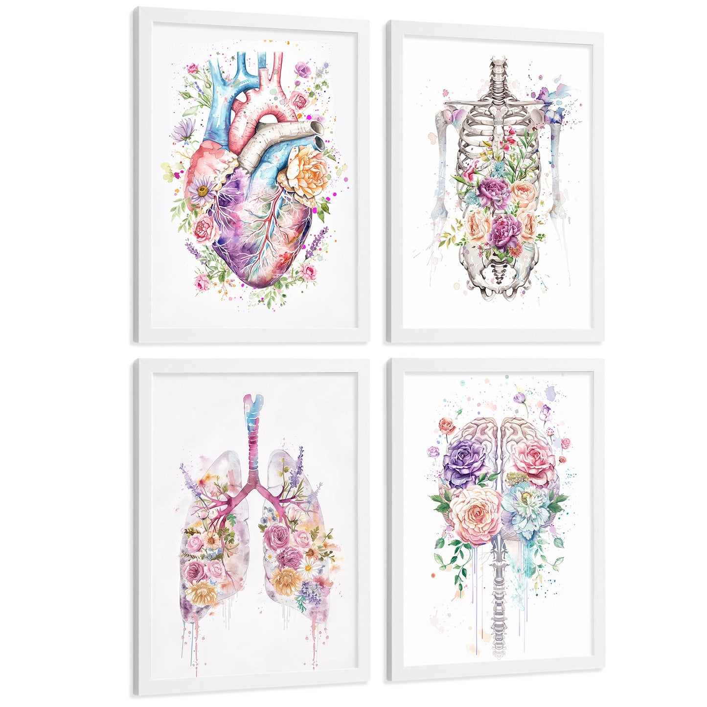 Set 4 Cuadros Decorativos de Anatomía Humana Láminas y Posters con Corazón Cerebro Pulmones Tráquea Bronquios Columna Vertebral Diseño Floral Acuarela