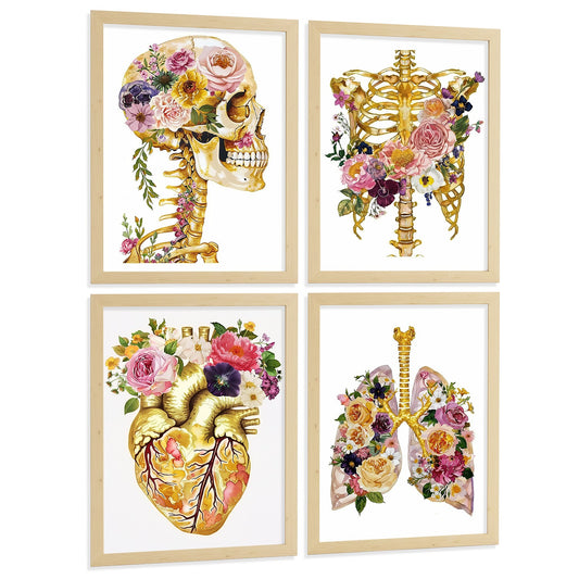 Set 4 Láminas de Anatomía Humana Posters y Cuadros con Calavera, Esqueleto, Corazón y Pulmones Dorados
