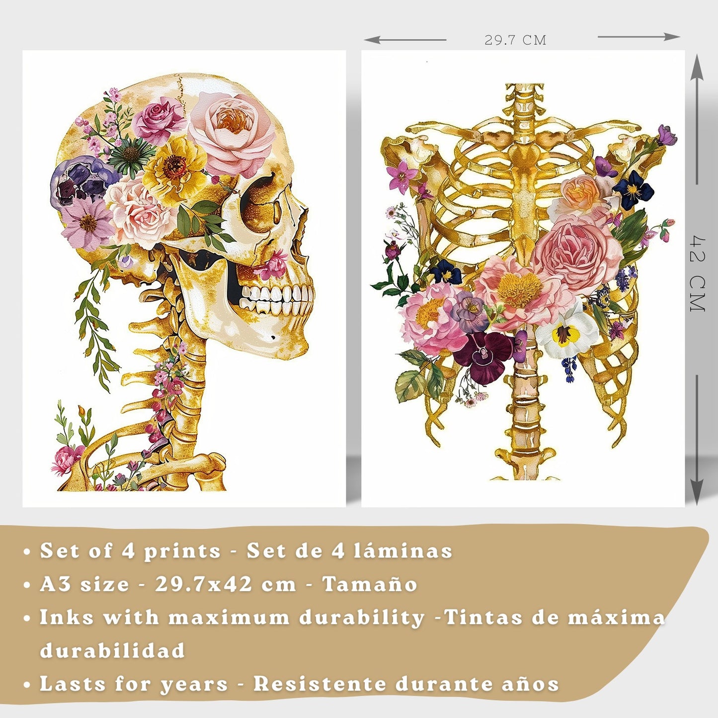 Set 4 Láminas de Anatomía Humana Posters y Cuadros con Calavera, Esqueleto, Corazón y Pulmones Dorados