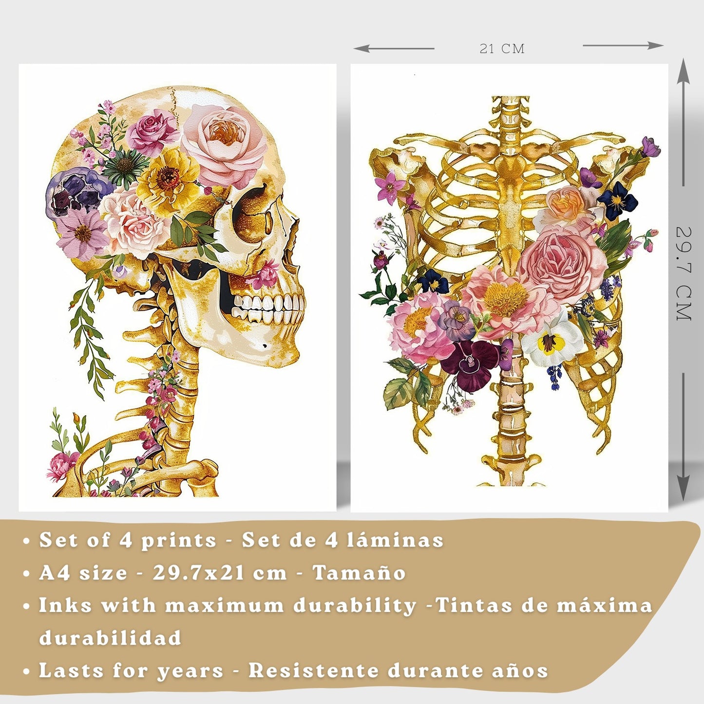 Set 4 Láminas de Anatomía Humana Posters y Cuadros con Calavera, Esqueleto, Corazón y Pulmones Dorados