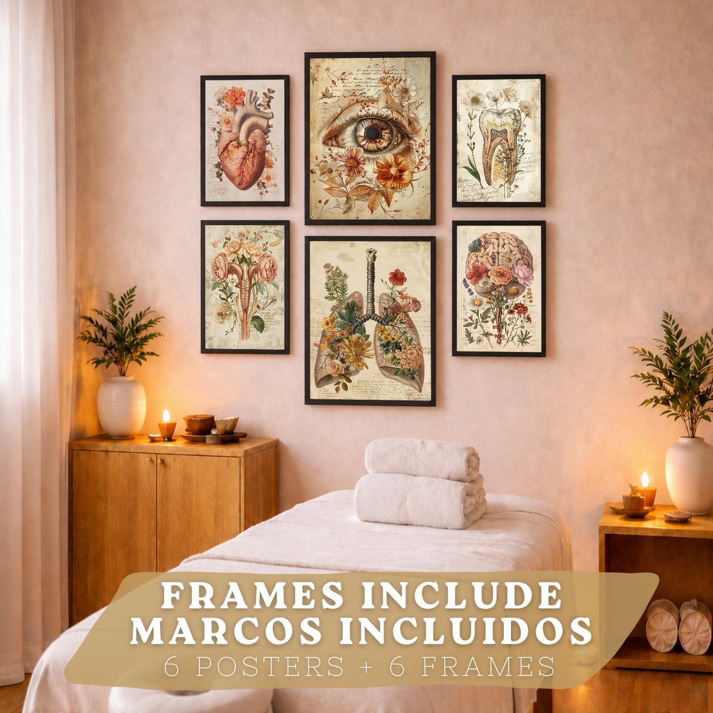 Set de 6 láminas anatómicas clásicas para decorar pared, arte médico botánico con ojo, corazón, diente, útero, pulmones y cerebro, manuscrito antiguo, sin marco