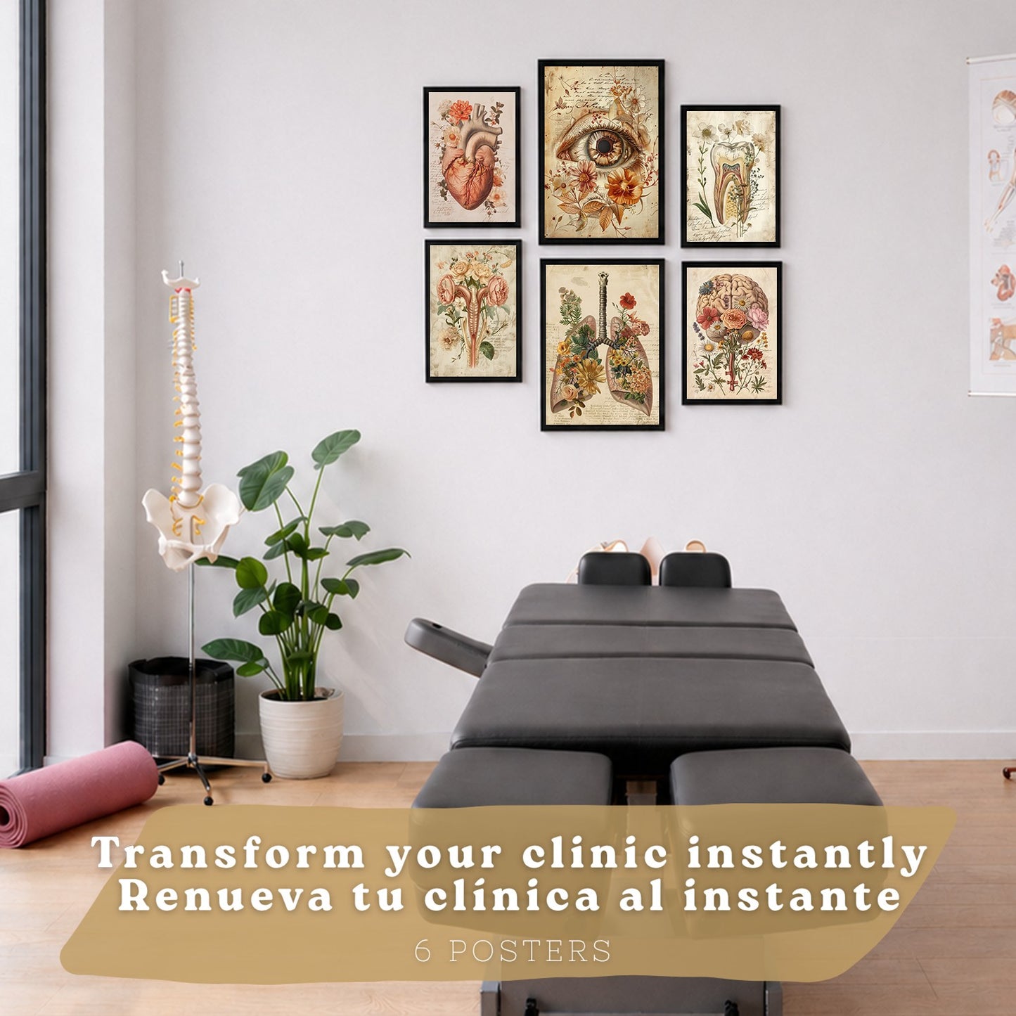 Set de 6 láminas anatómicas clásicas para decorar pared, arte médico botánico con ojo, corazón, diente, útero, pulmones y cerebro, manuscrito antiguo, sin marco