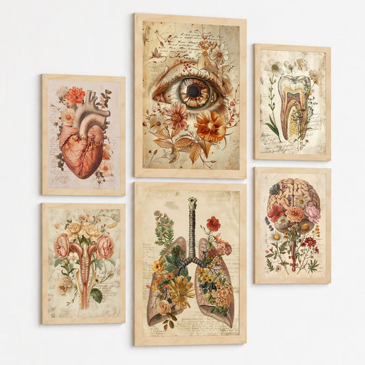 Set de 6 láminas anatómicas clásicas para decorar pared, arte médico botánico con ojo, corazón, diente, útero, pulmones y cerebro, manuscrito antiguo, sin marco