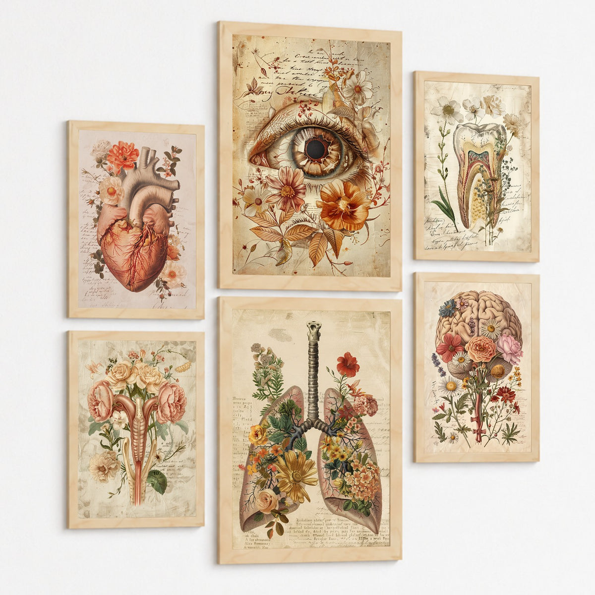 Set de 6 láminas anatómicas clásicas para decorar pared, arte médico botánico con ojo, corazón, diente, útero, pulmones y cerebro, manuscrito antiguo, sin marco