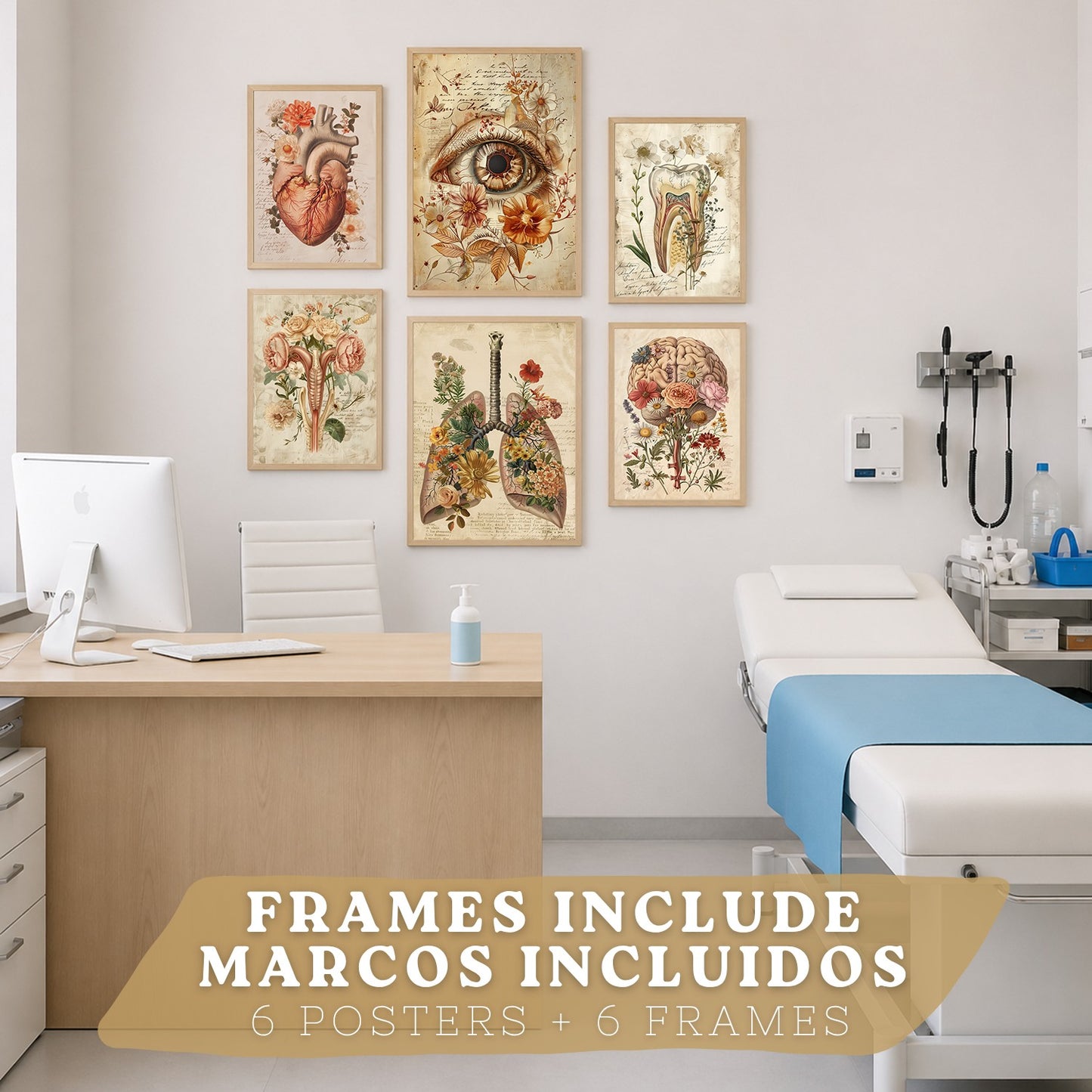 Set de 6 láminas anatómicas clásicas para decorar pared, arte médico botánico con ojo, corazón, diente, útero, pulmones y cerebro, manuscrito antiguo, sin marco