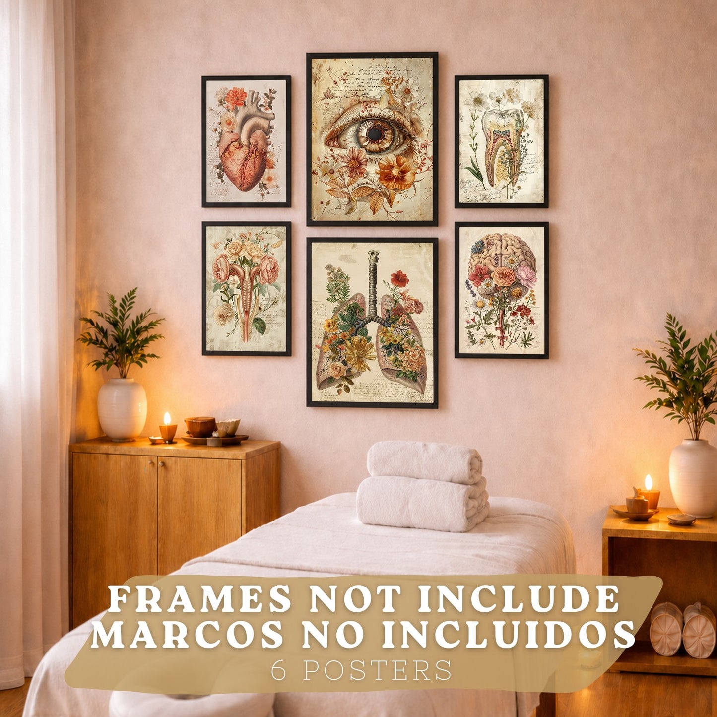 Set de 6 láminas anatómicas clásicas para decorar pared, arte médico botánico con ojo, corazón, diente, útero, pulmones y cerebro, manuscrito antiguo, sin marco