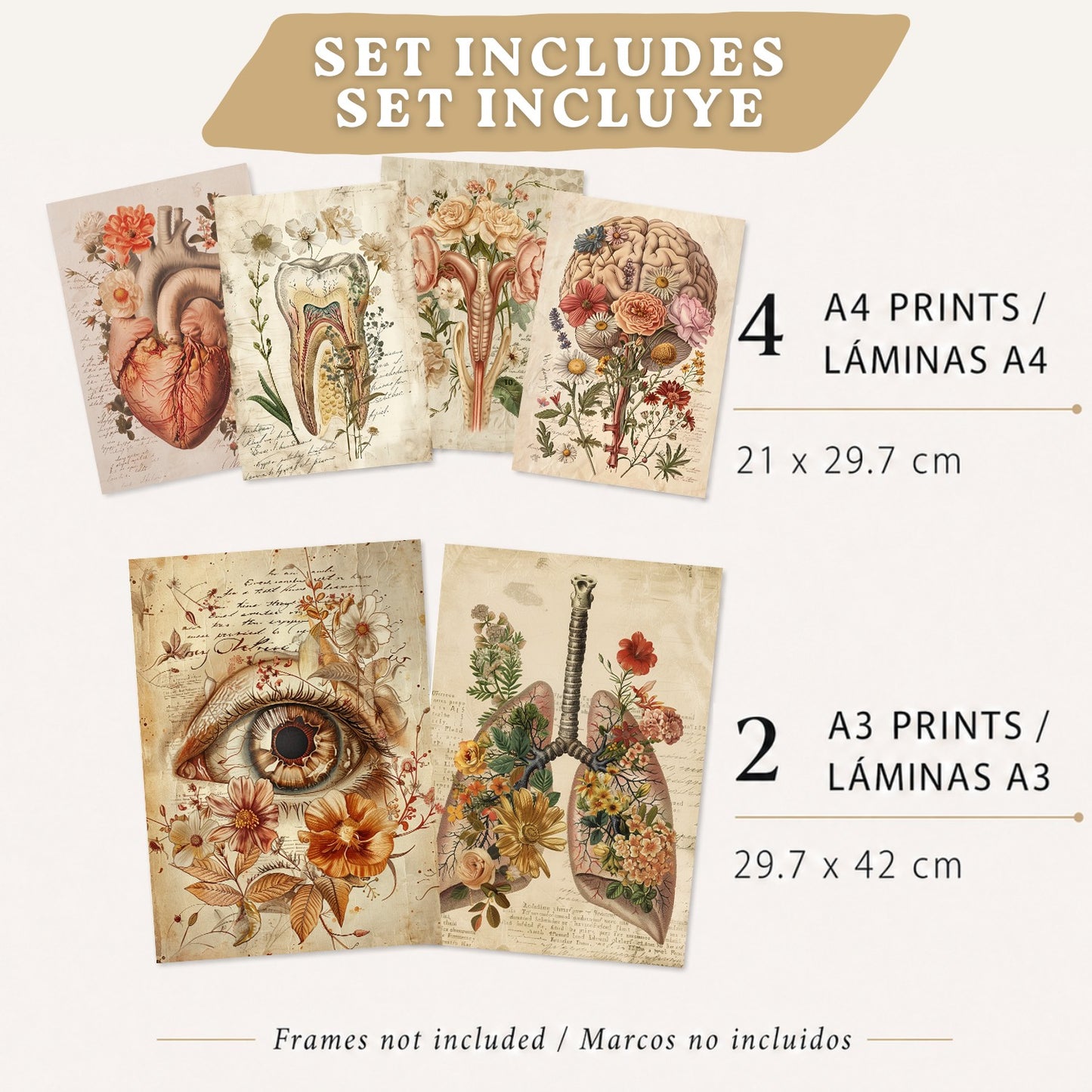 Set de 6 láminas anatómicas clásicas para decorar pared, arte médico botánico con ojo, corazón, diente, útero, pulmones y cerebro, manuscrito antiguo, sin marco