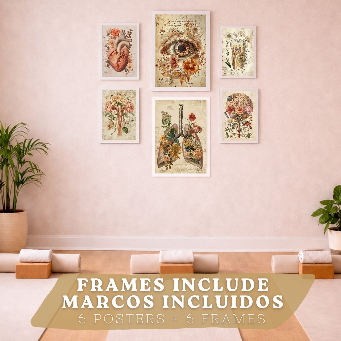 Set de 6 láminas anatómicas clásicas para decorar pared, arte médico botánico con ojo, corazón, diente, útero, pulmones y cerebro, manuscrito antiguo, sin marco
