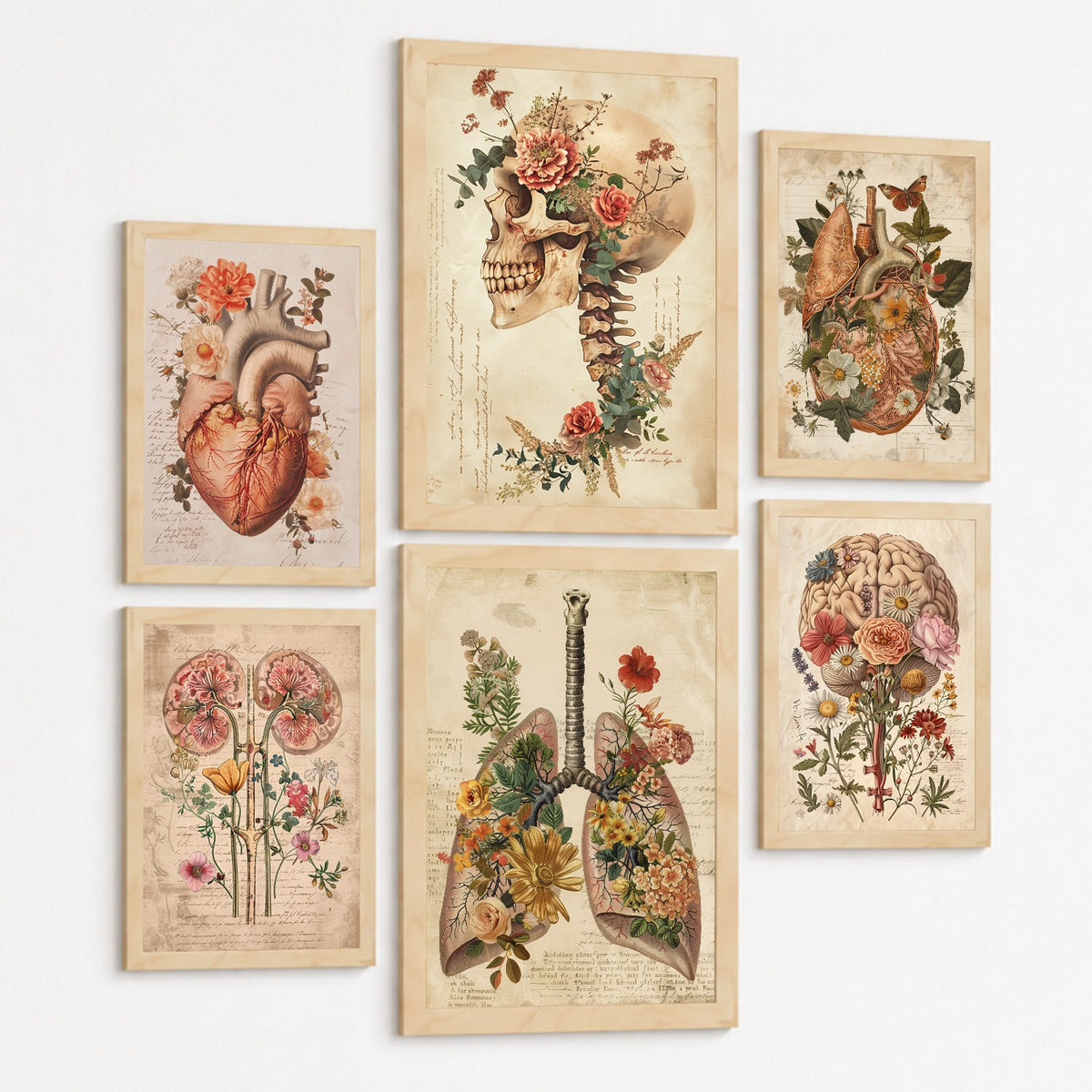 Colección de 6 posters anatómicos estilo antiguo para pared, ilustraciones médicas de corazón, cráneo, pulmones, riñones y cerebro con flores, fondo pergamino,