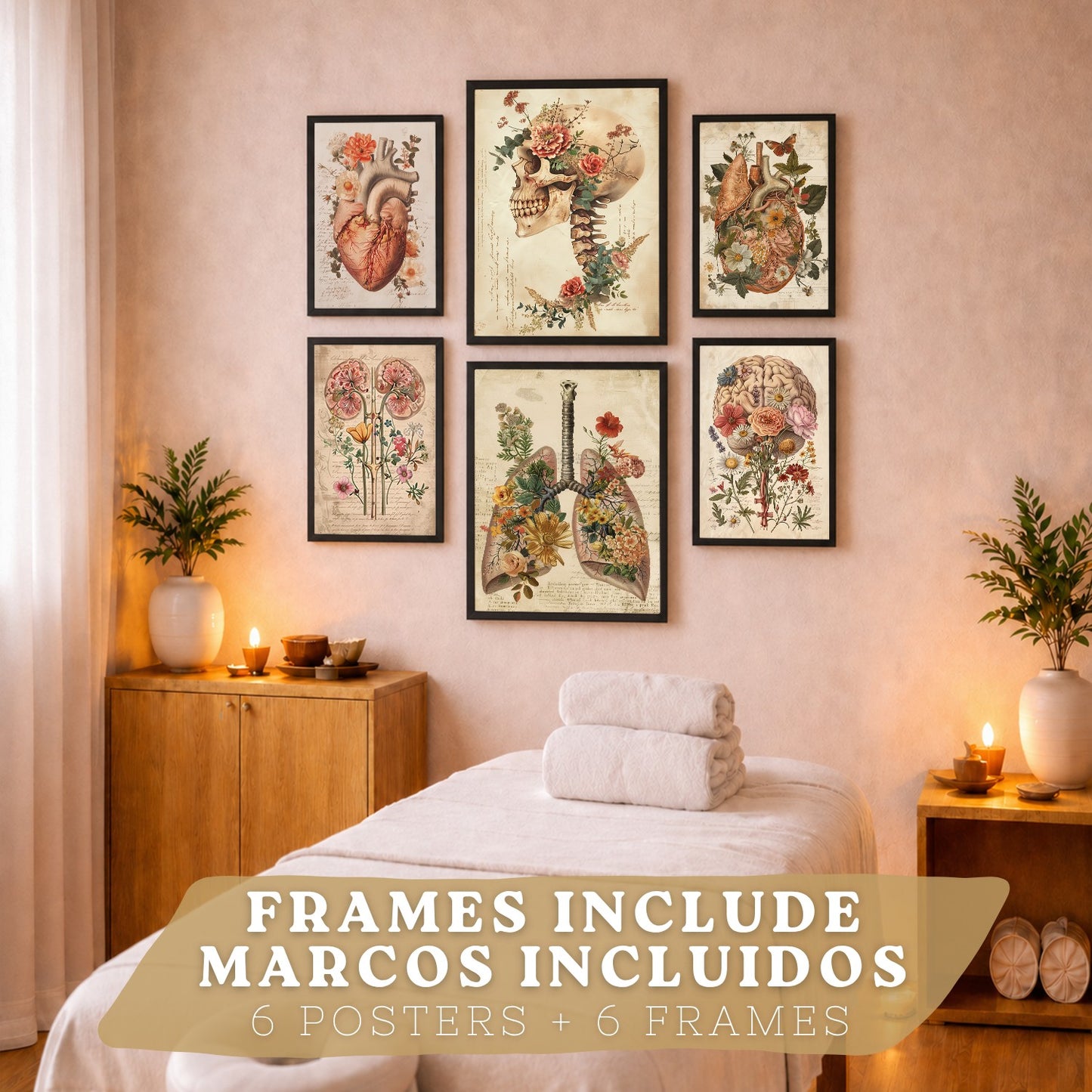 Colección de 6 posters anatómicos estilo antiguo para pared, ilustraciones médicas de corazón, cráneo, pulmones, riñones y cerebro con flores, fondo pergamino,