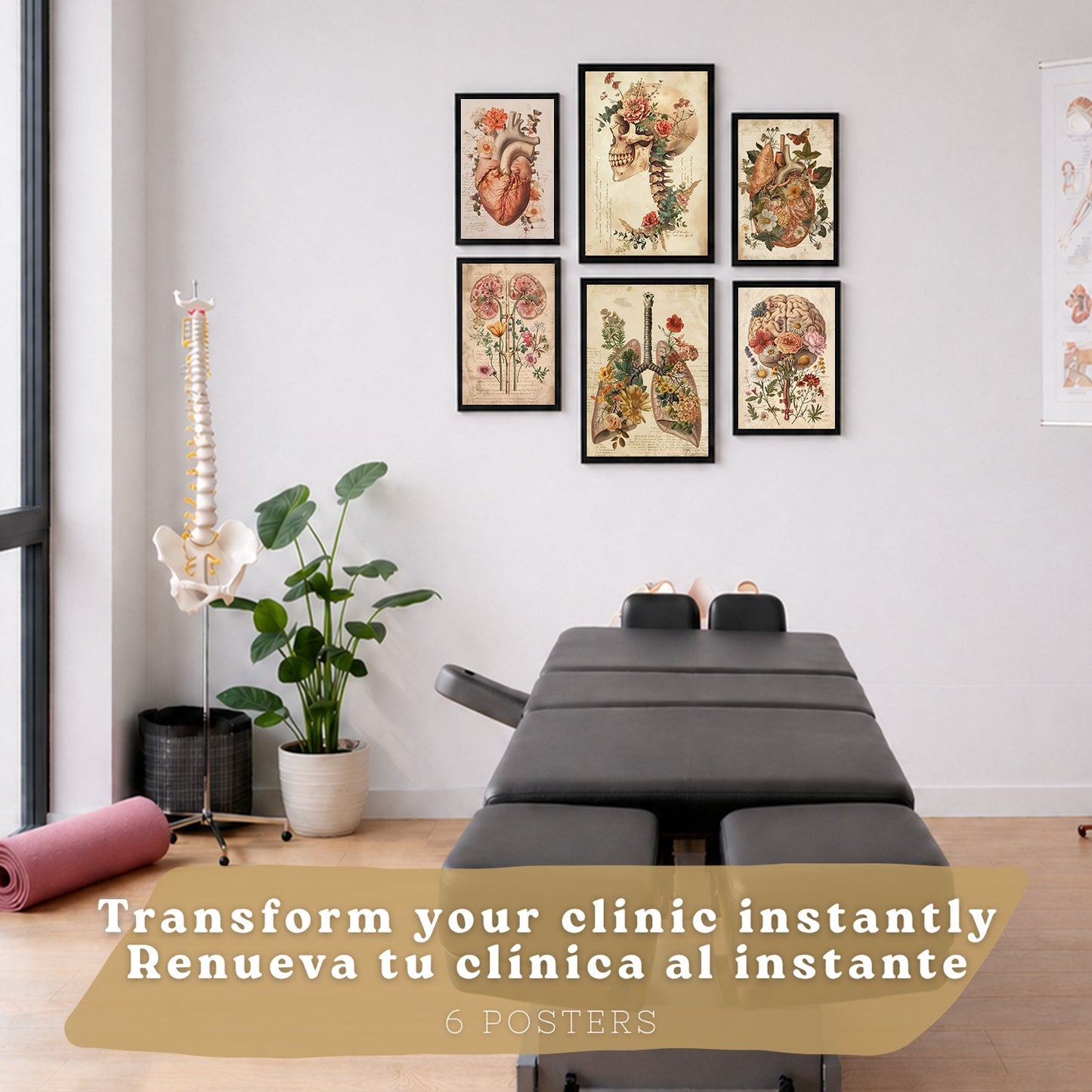 Colección de 6 posters anatómicos estilo antiguo para pared, ilustraciones médicas de corazón, cráneo, pulmones, riñones y cerebro con flores, fondo pergamino,