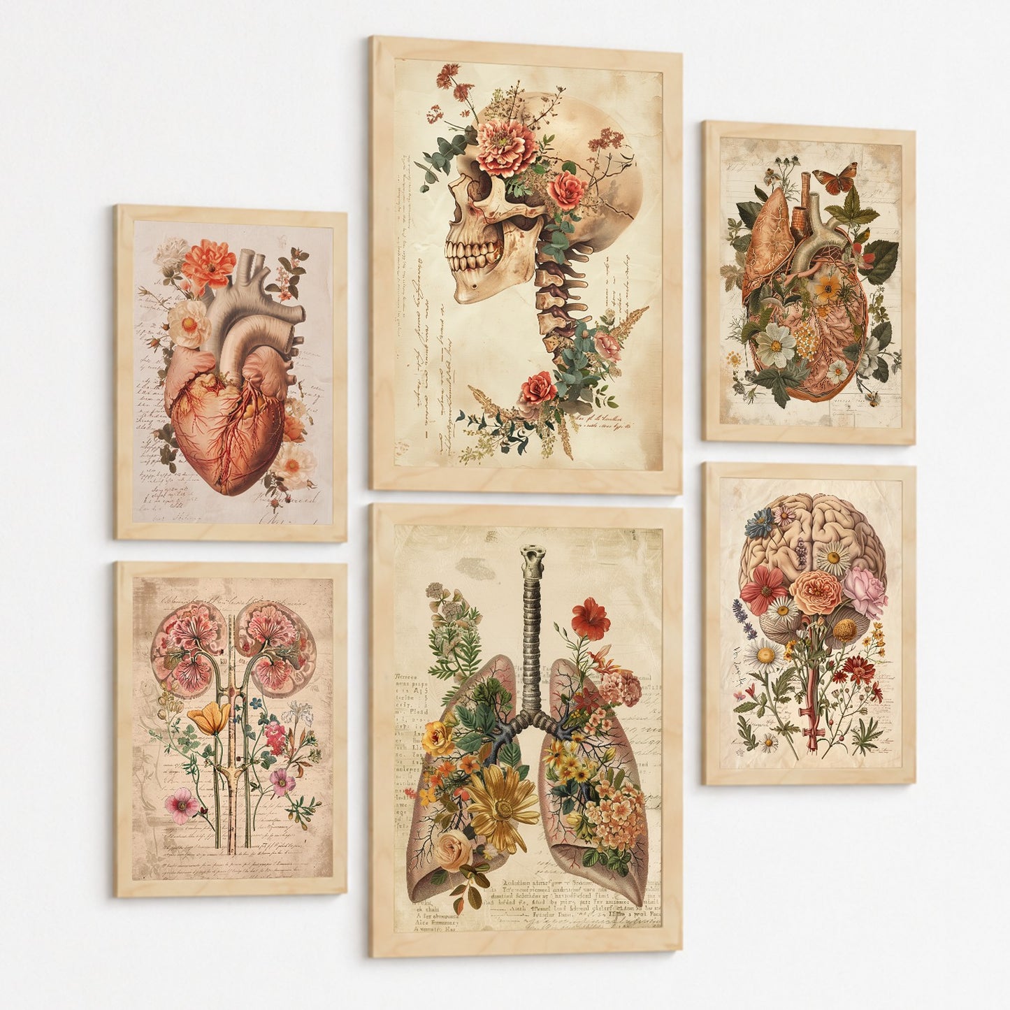 Colección de 6 posters anatómicos estilo antiguo para pared, ilustraciones médicas de corazón, cráneo, pulmones, riñones y cerebro con flores, fondo pergamino,