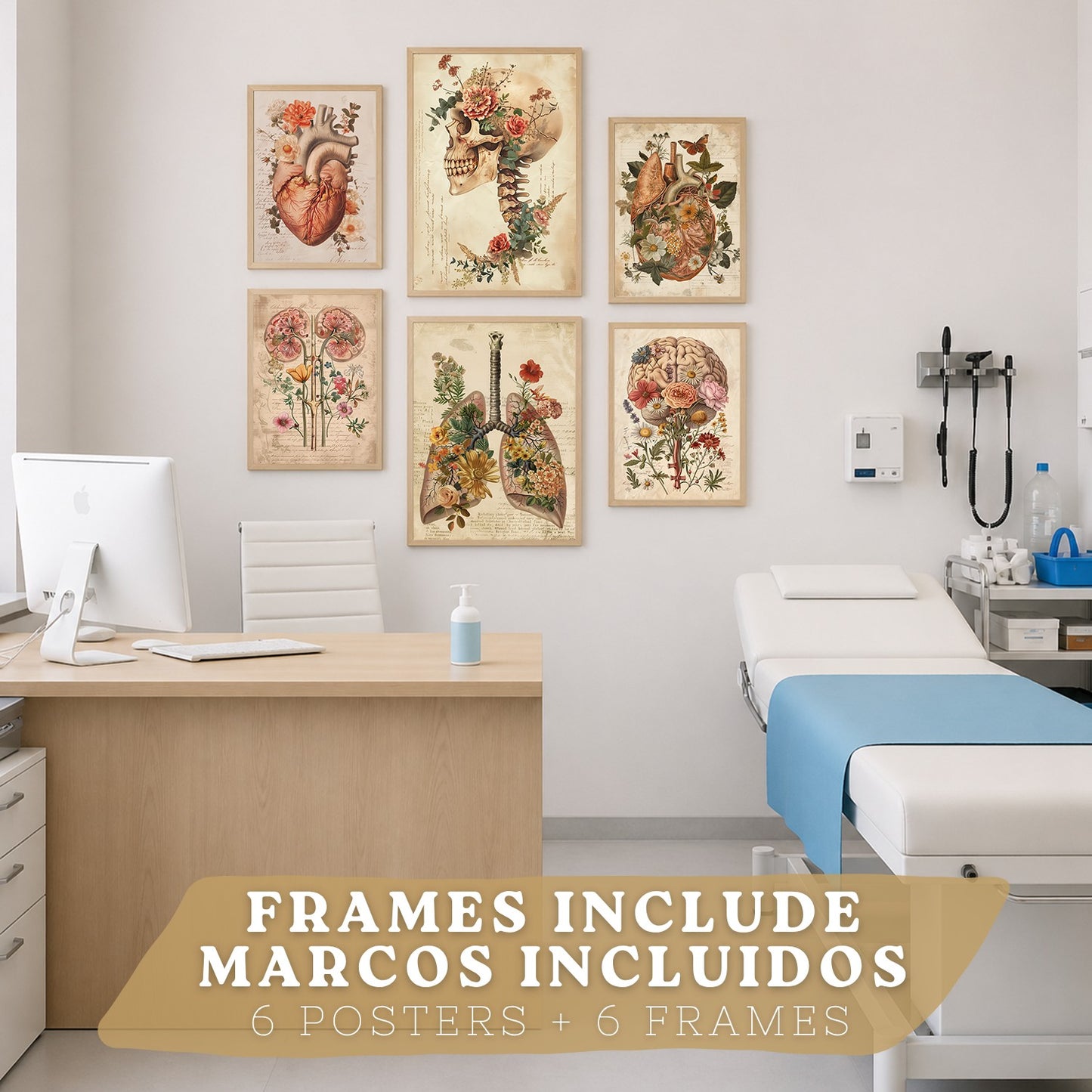 Colección de 6 posters anatómicos estilo antiguo para pared, ilustraciones médicas de corazón, cráneo, pulmones, riñones y cerebro con flores, fondo pergamino,