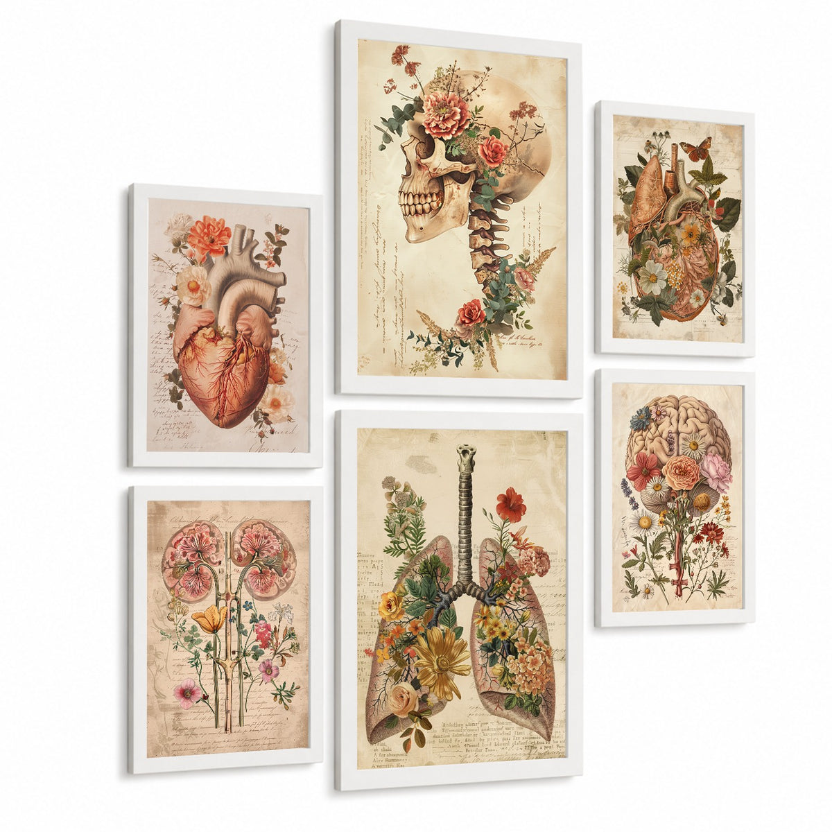 Colección de 6 posters anatómicos estilo antiguo para pared, ilustraciones médicas de corazón, cráneo, pulmones, riñones y cerebro con flores, fondo pergamino,