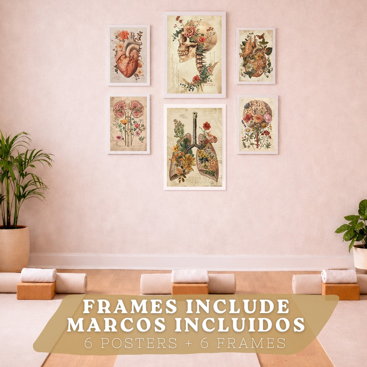 Colección de 6 posters anatómicos estilo antiguo para pared, ilustraciones médicas de corazón, cráneo, pulmones, riñones y cerebro con flores, fondo pergamino,