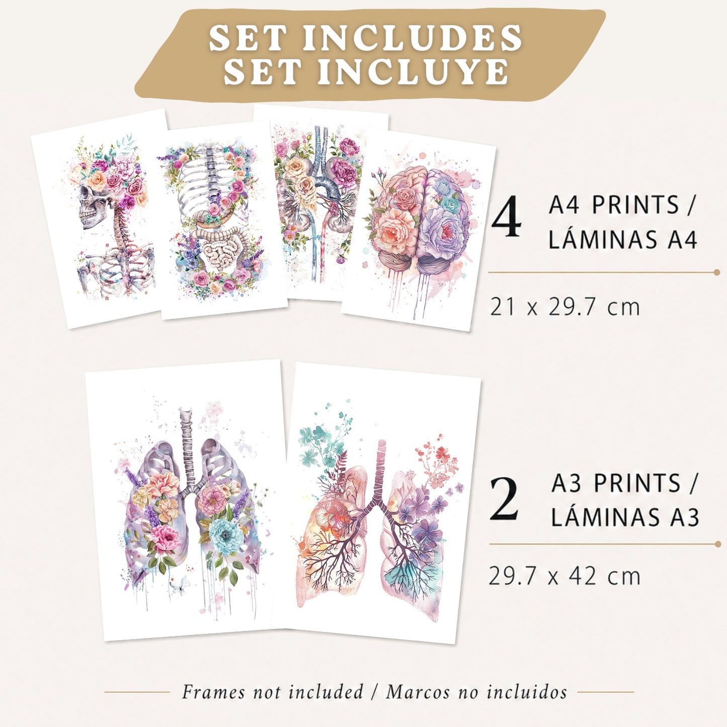 Set de 6 láminas de anatomía floral en acuarela, pósters con ilustraciones de cerebro, pulmones, esqueleto, riñones y órganos,médico botánico para pared,