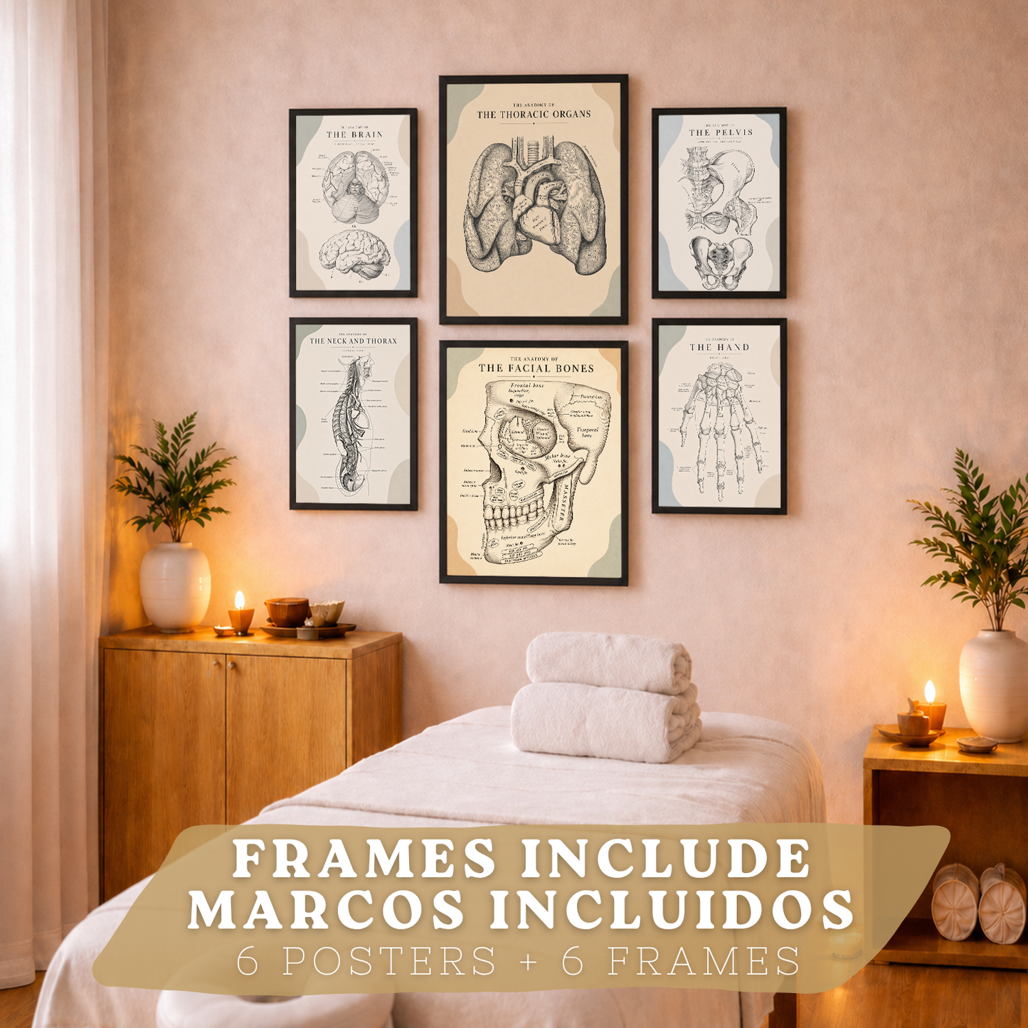 Set de 6 Láminas Anatómicas Posters Médicos con Cerebro, Pulmones, Corazón, Pelvis, Mano Humana, Huesos Faciales y Anatomía del Cuello, Cuadros Decorativos para consultas