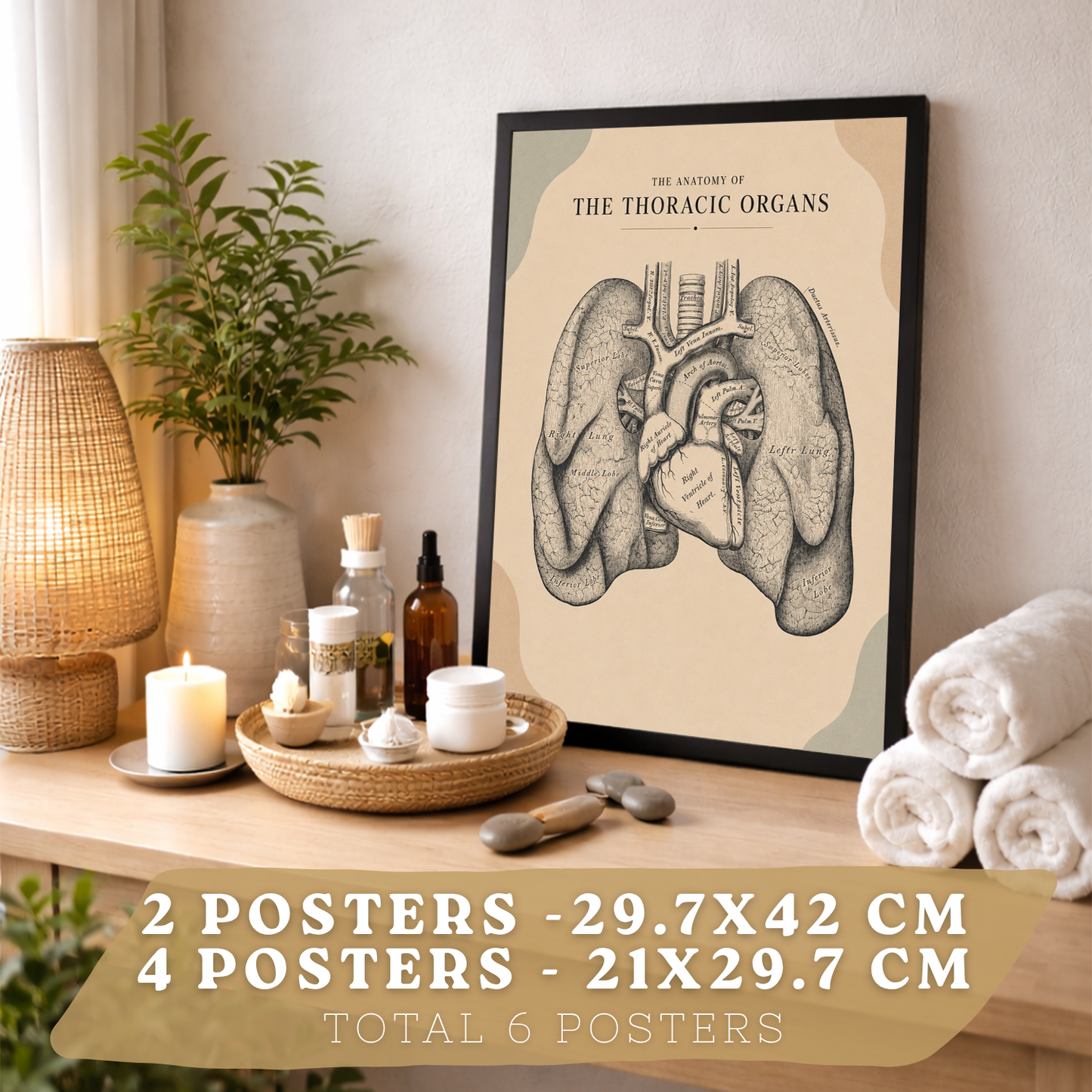 Set de 6 Láminas Anatómicas Posters Médicos con Cerebro, Pulmones, Corazón, Pelvis, Mano Humana, Huesos Faciales y Anatomía del Cuello, Cuadros Decorativos para consultas
