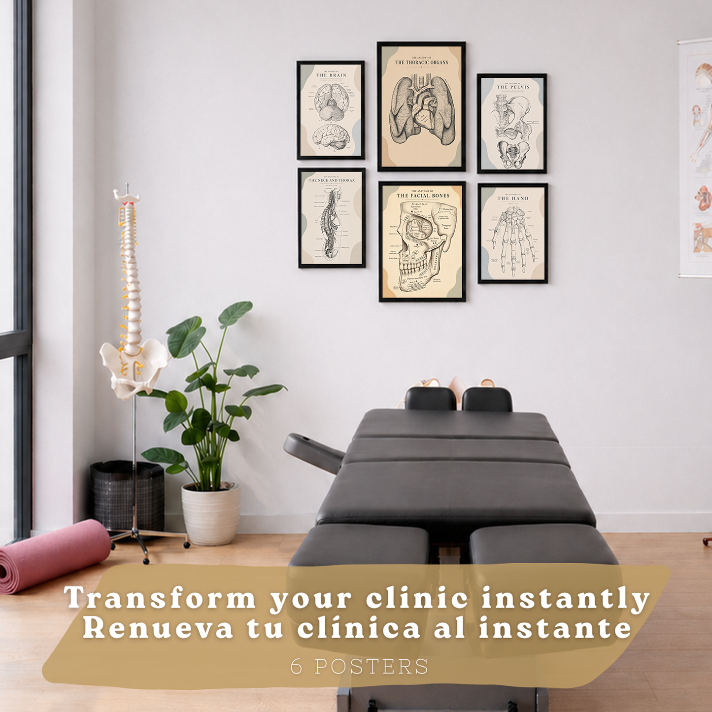 Set de 6 Láminas Anatómicas Posters Médicos con Cerebro, Pulmones, Corazón, Pelvis, Mano Humana, Huesos Faciales y Anatomía del Cuello, Cuadros Decorativos para consultas