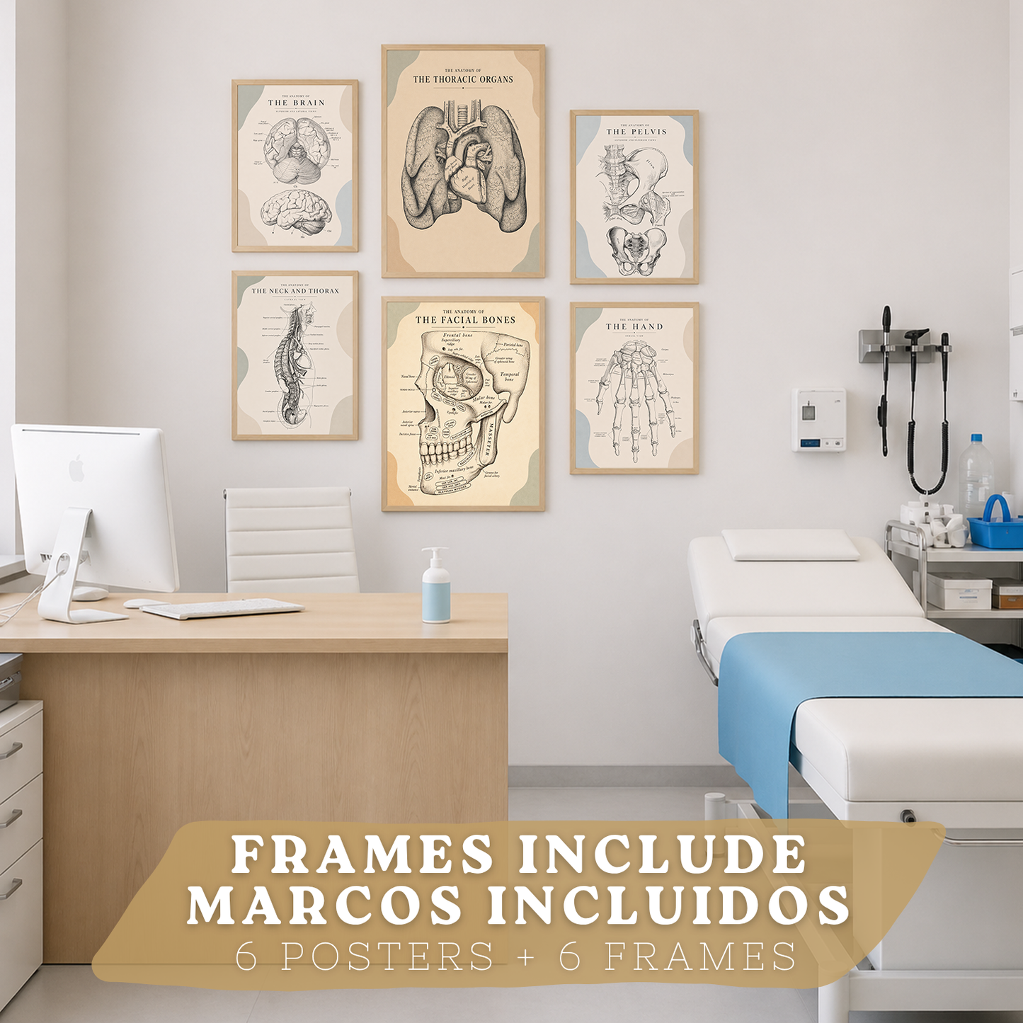 Set de 6 Láminas Anatómicas Posters Médicos con Cerebro, Pulmones, Corazón, Pelvis, Mano Humana, Huesos Faciales y Anatomía del Cuello, Cuadros Decorativos para consultas