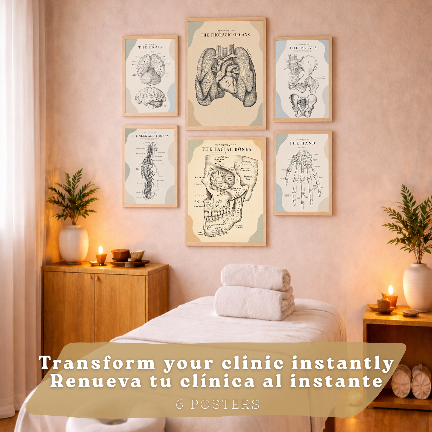 Set de 6 Láminas Anatómicas Posters Médicos con Cerebro, Pulmones, Corazón, Pelvis, Mano Humana, Huesos Faciales y Anatomía del Cuello, Cuadros Decorativos para consultas
