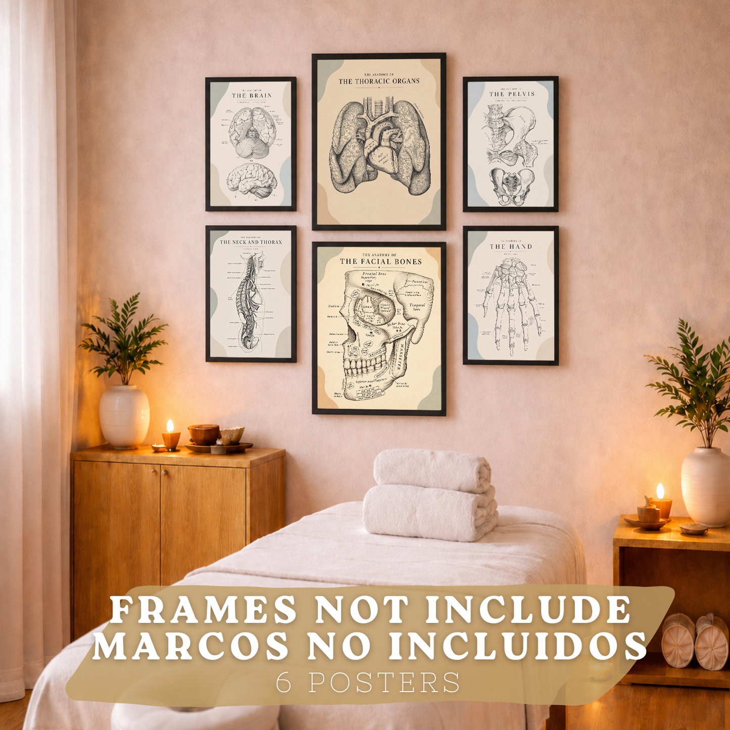 Set de 6 Láminas Anatómicas Posters Médicos con Cerebro, Pulmones, Corazón, Pelvis, Mano Humana, Huesos Faciales y Anatomía del Cuello, Cuadros Decorativos para consultas