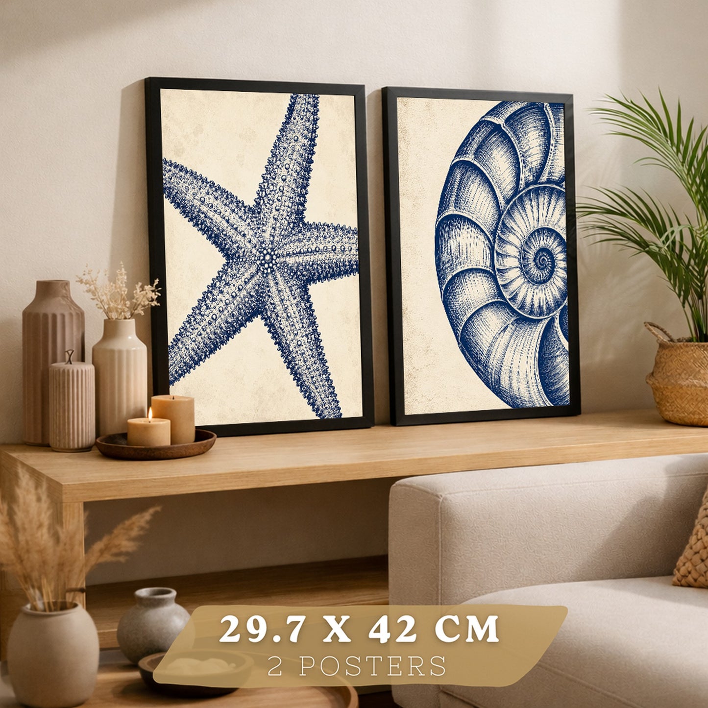 Posters de Azul Costero con Arte de Nautilus y Estrella de Mar