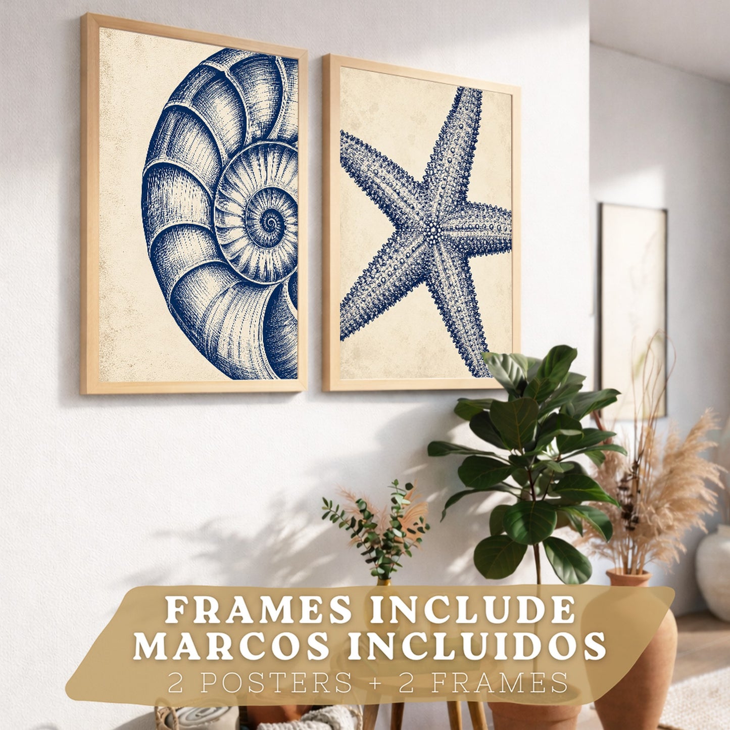 Posters de Azul Costero con Arte de Nautilus y Estrella de Mar