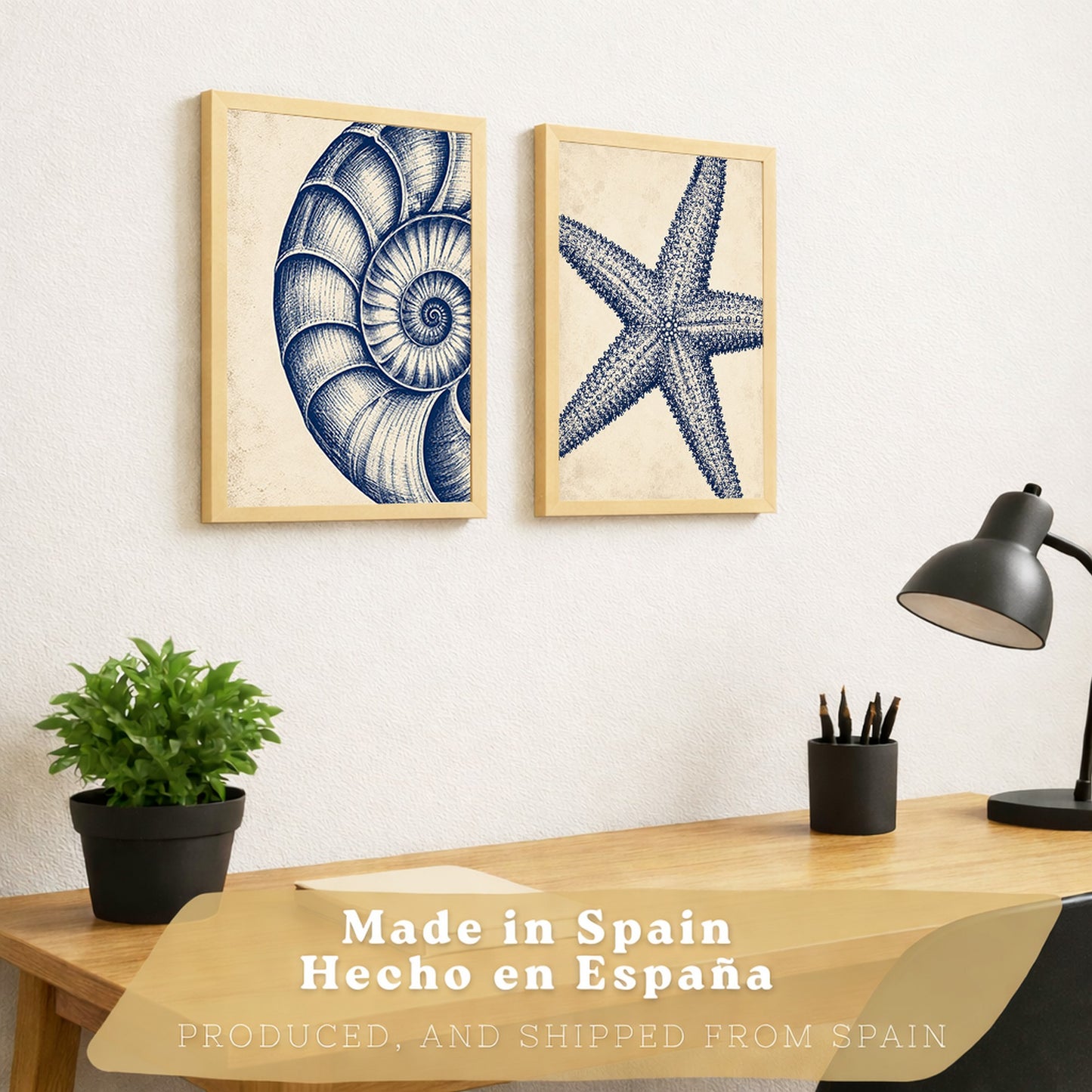 Posters de Azul Costero con Arte de Nautilus y Estrella de Mar