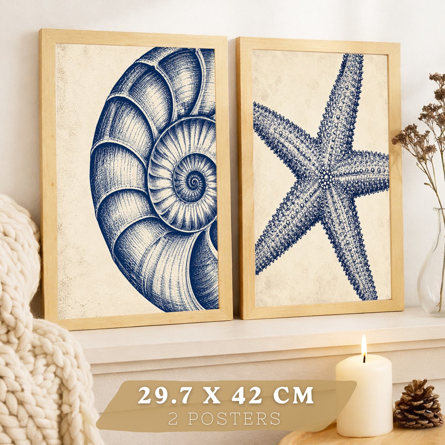 Posters de Azul Costero con Arte de Nautilus y Estrella de Mar