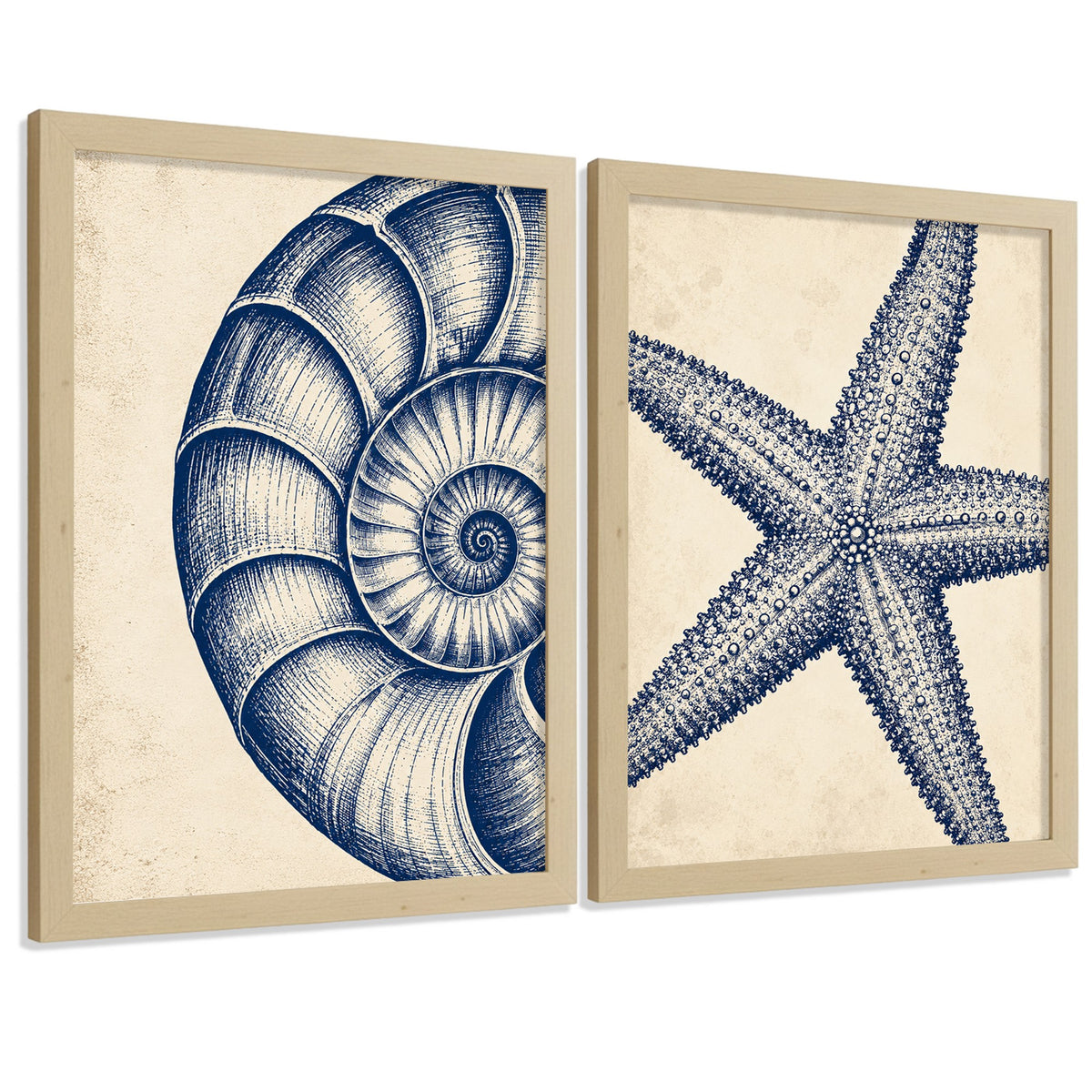 Posters de Azul Costero con Arte de Nautilus y Estrella de Mar