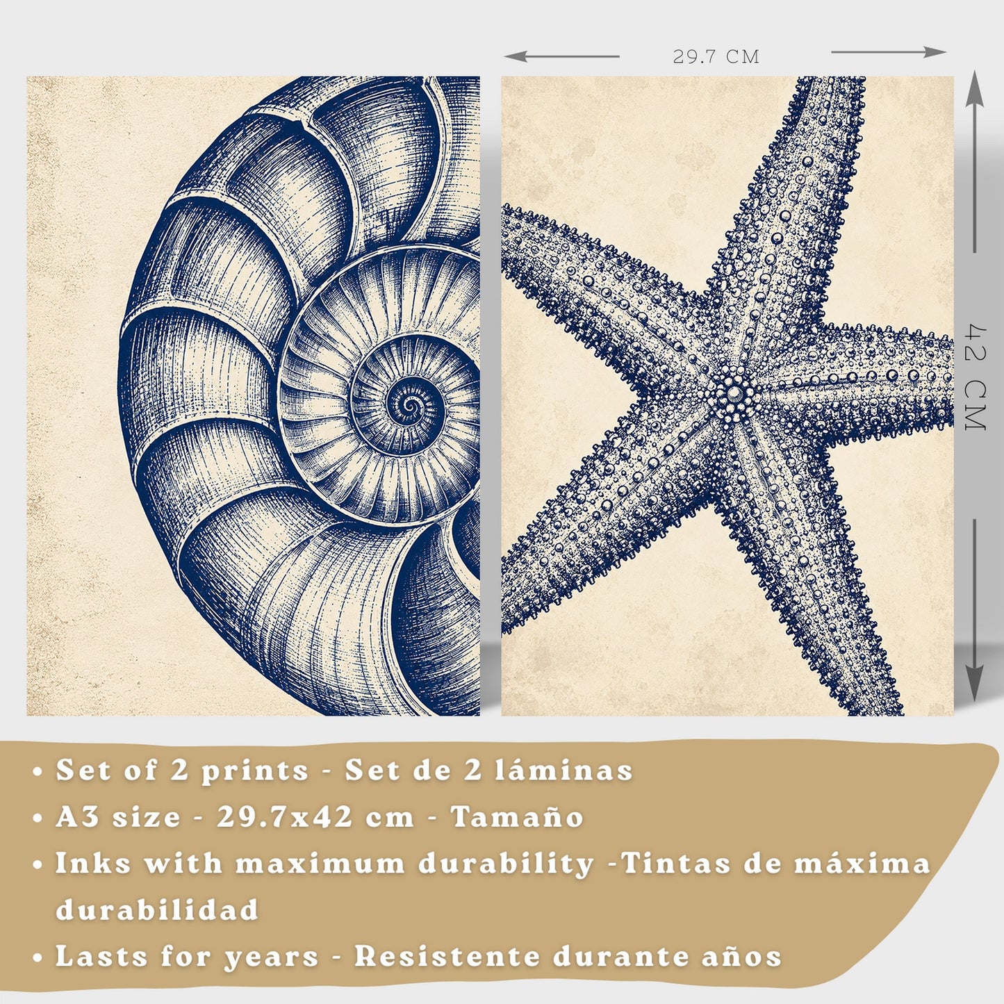 Posters de Azul Costero con Arte de Nautilus y Estrella de Mar
