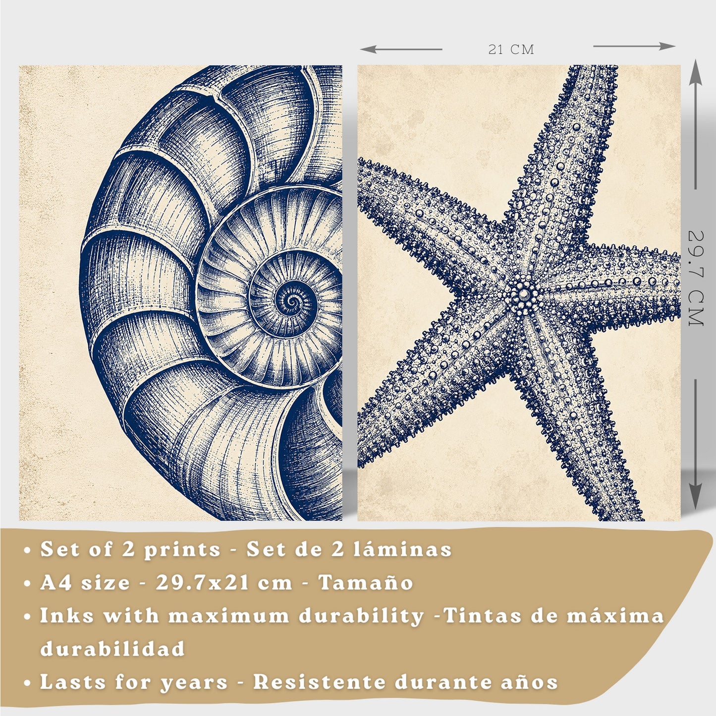 Posters de Azul Costero con Arte de Nautilus y Estrella de Mar