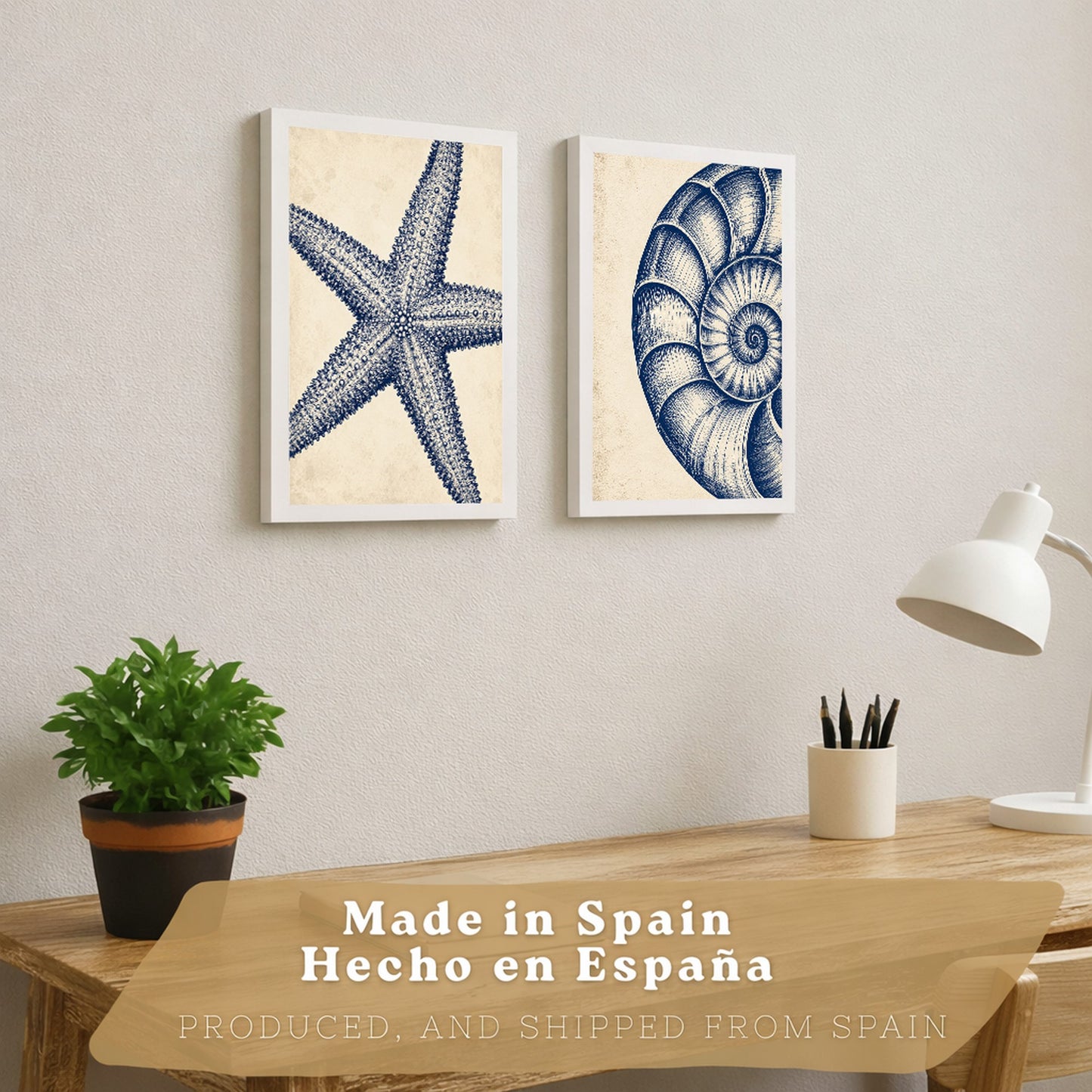 Posters de Azul Costero con Arte de Nautilus y Estrella de Mar