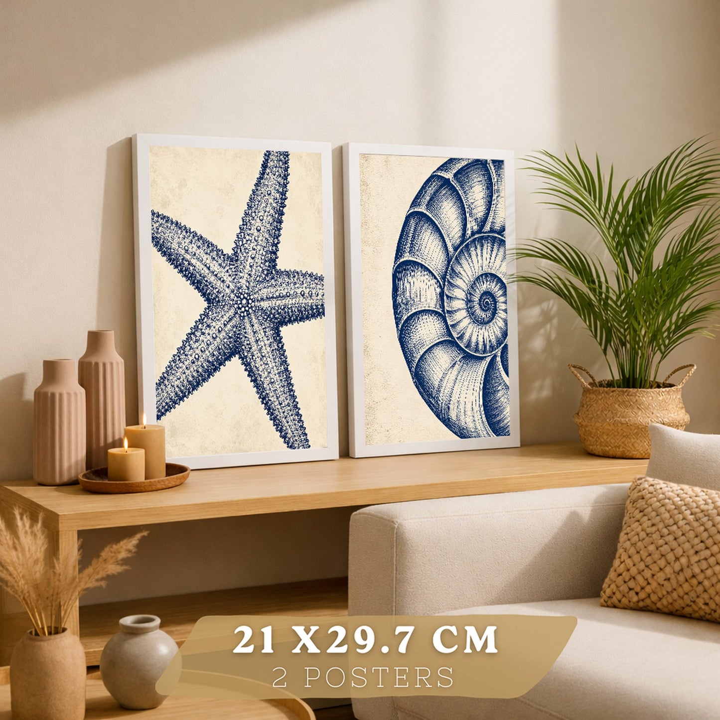 Posters de Azul Costero con Arte de Nautilus y Estrella de Mar