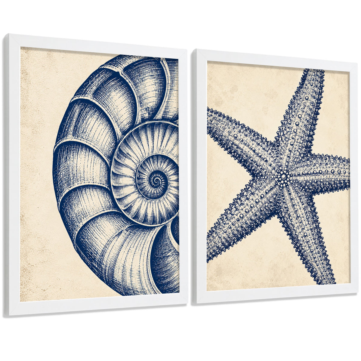 Posters de Azul Costero con Arte de Nautilus y Estrella de Mar