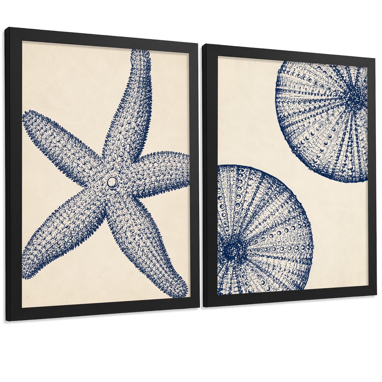 Posters de Azul Costero con Arte de Estrella de Mar y Erizo de Mar