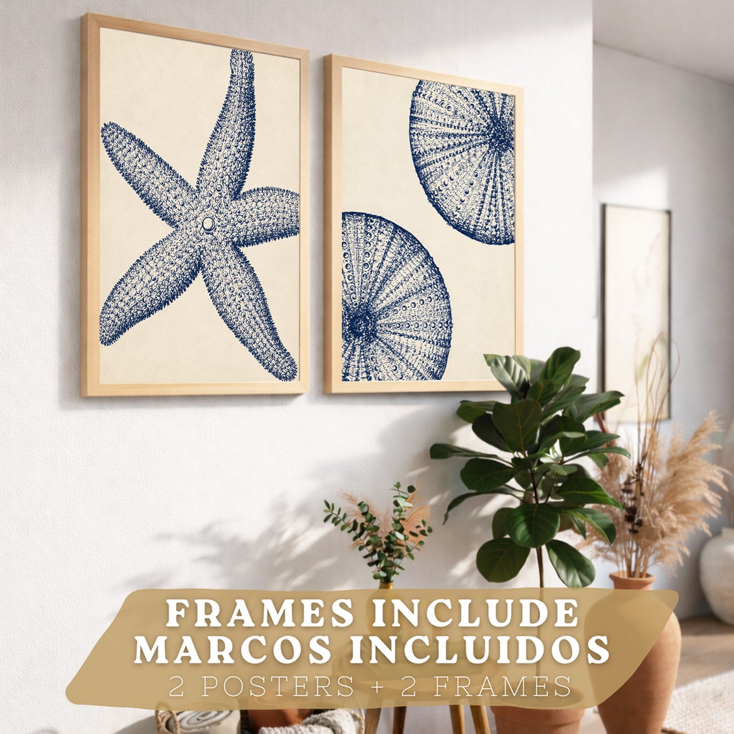 Posters de Azul Costero con Arte de Estrella de Mar y Erizo de Mar