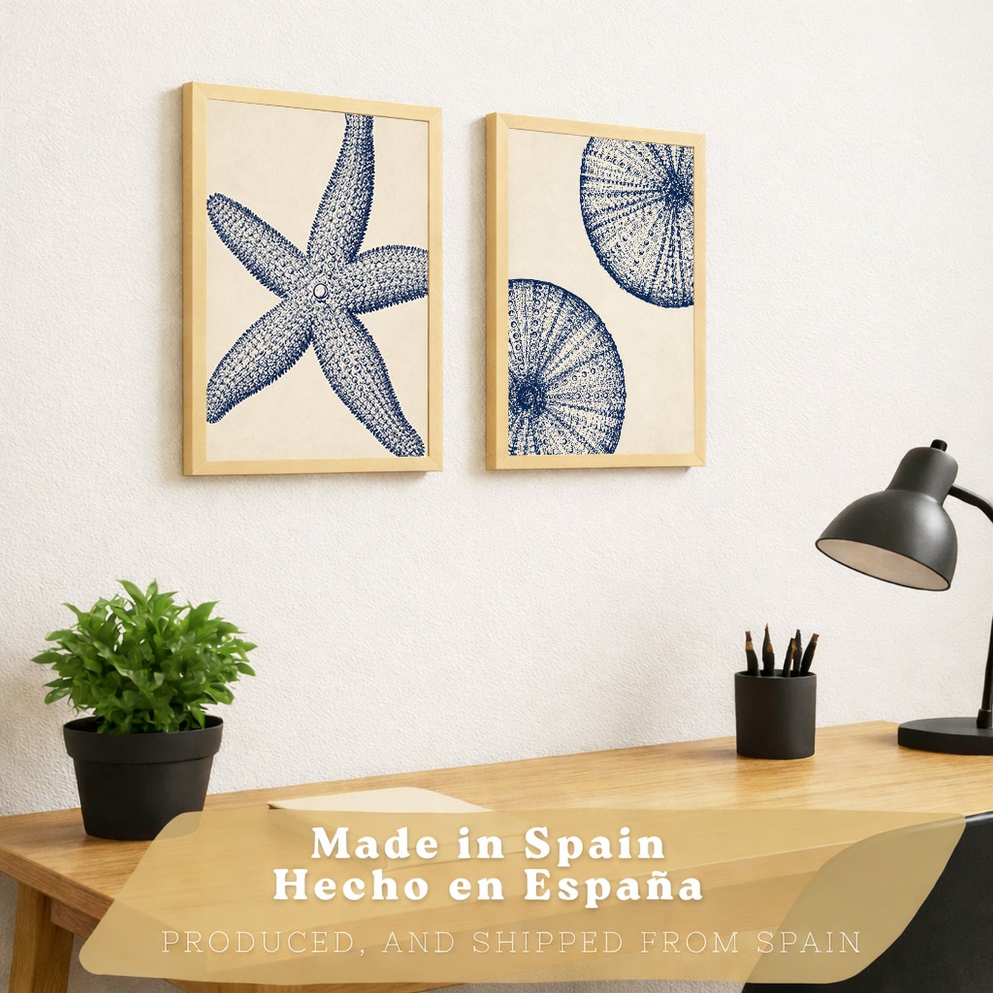 Posters de Azul Costero con Arte de Estrella de Mar y Erizo de Mar