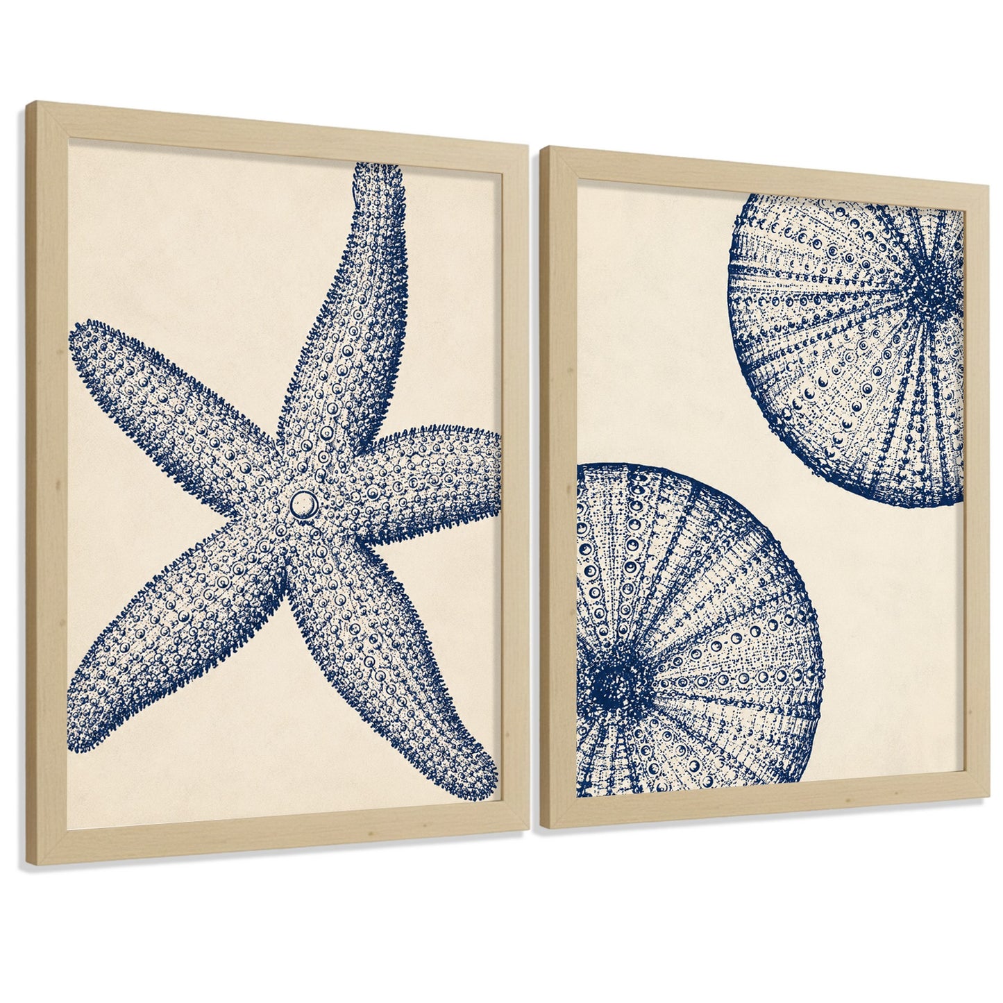 Posters de Azul Costero con Arte de Estrella de Mar y Erizo de Mar