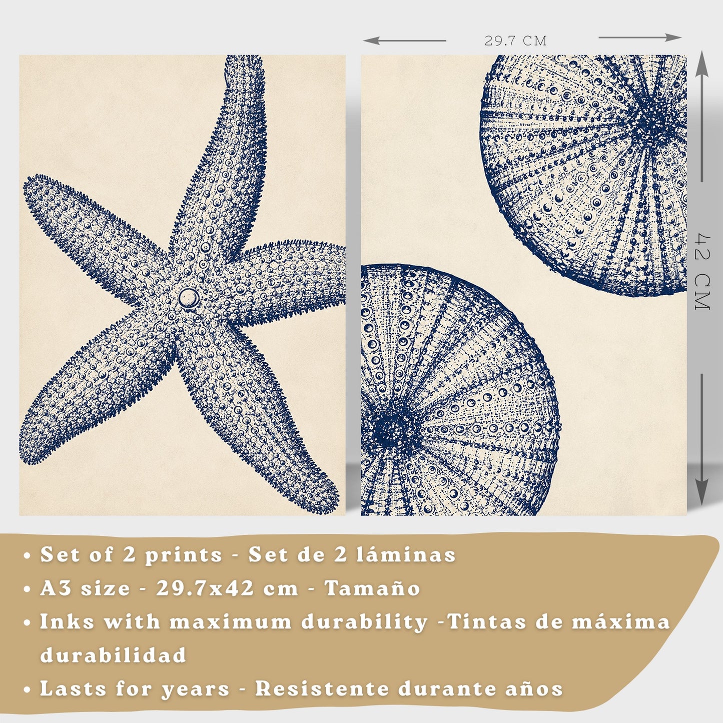 Posters de Azul Costero con Arte de Estrella de Mar y Erizo de Mar