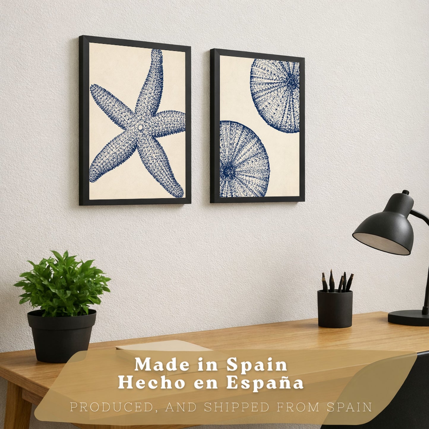 Posters de Azul Costero con Arte de Estrella de Mar y Erizo de Mar