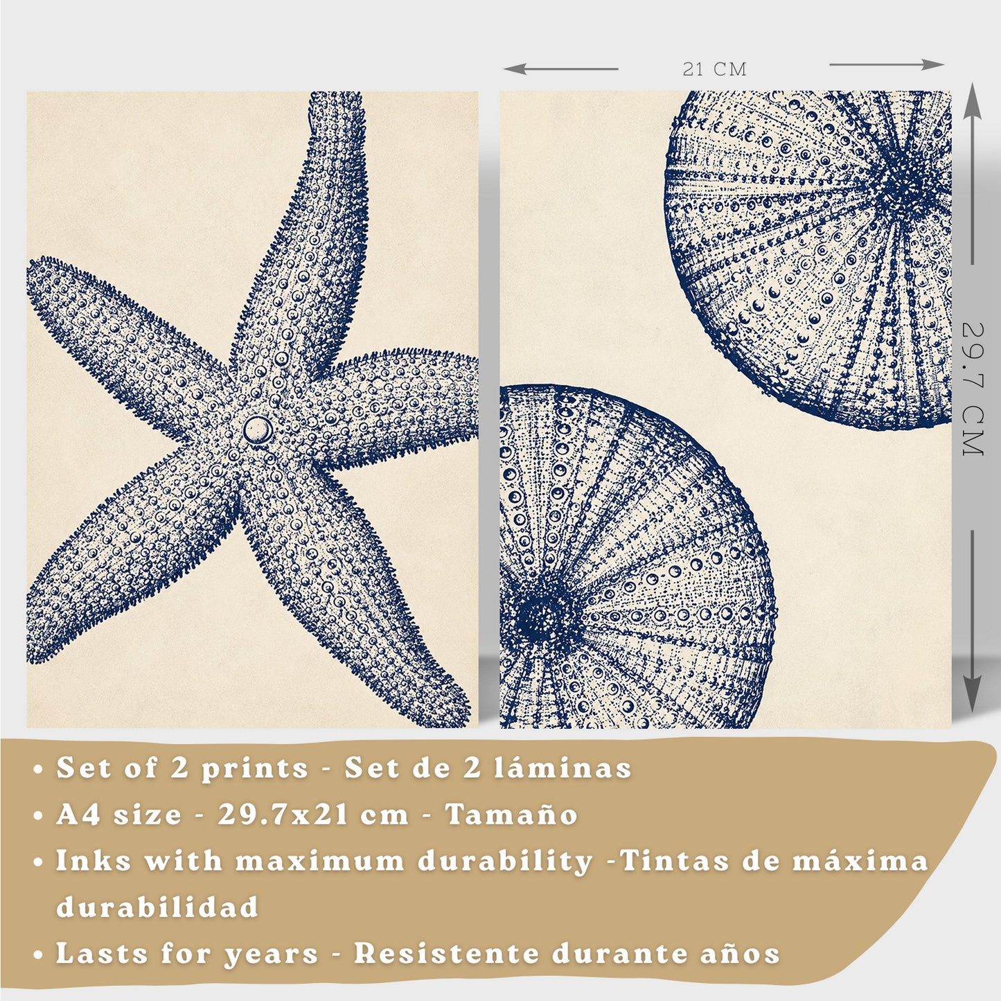 Posters de Azul Costero con Arte de Estrella de Mar y Erizo de Mar