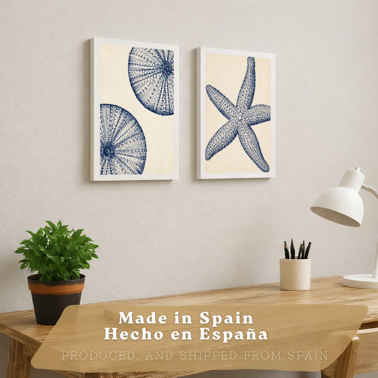Posters de Azul Costero con Arte de Estrella de Mar y Erizo de Mar